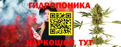 трава Пенза