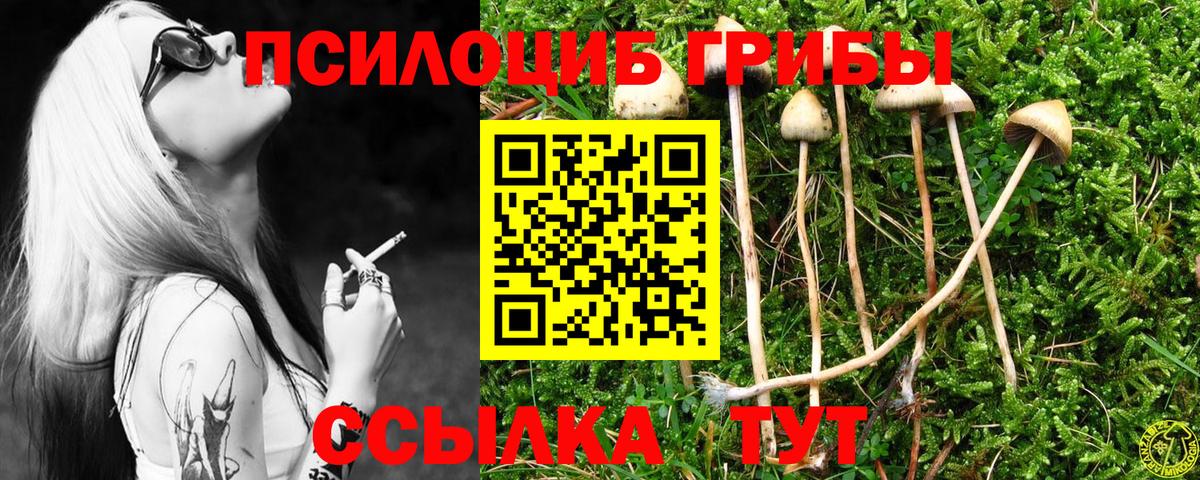 Ржев  Галлюциногенные грибы GOLDEN TEACHER  Вход с VPN  Псилоцибиновые грибы Psilocybe 
